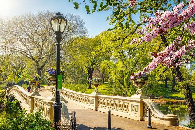 Central Park Stolen Archives: NY Exploration Game and Tour - Should you book Central Park Stolen Archives?