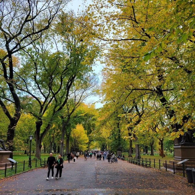 Guided Deluxe Pedicab Tour in Central Park - The Mall, historic elms, and statue spotting without the stress