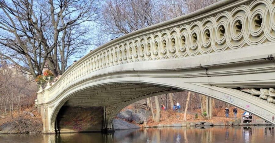 Guided Economy Pedicab Tour in Central Park - Bethesda Fountain and Cherry Hill: the longer scenic pauses