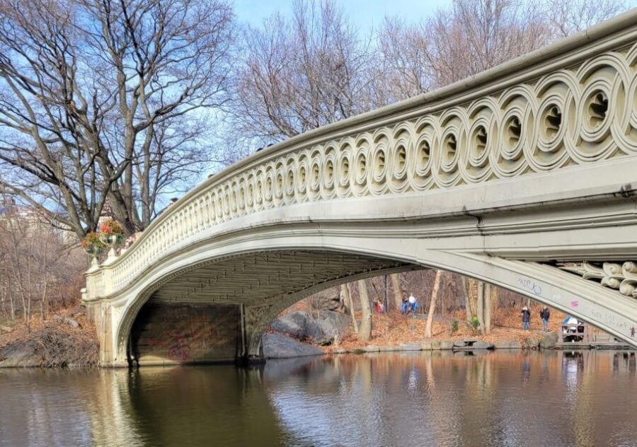 Guided Economy Pedicab Tour in Central Park - Skip-the-ticket-line plus the tight 45-minute structure