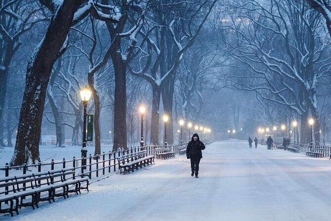 Guided Tour inside Central Park with Pedicab - The Mall, Loeb Boathouse, and the park’s showpiece vibe