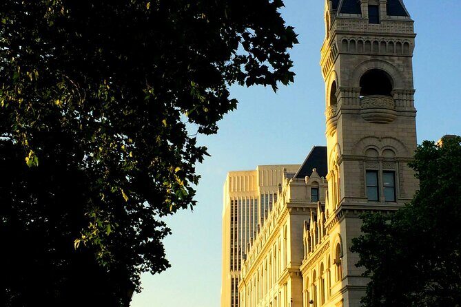 NYC Central Park Tour - The role of humor: why Ryan’s style can make the whole walk feel easier