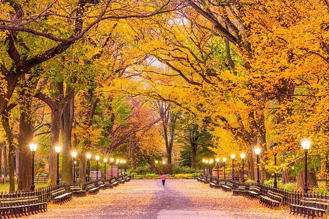 Private Guided Tour of Central Park - Key things to know before you go